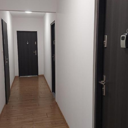 Cosy Studio Szopena 热舒夫 外观 照片